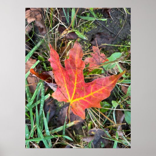 Herfst poster (Voorkant)