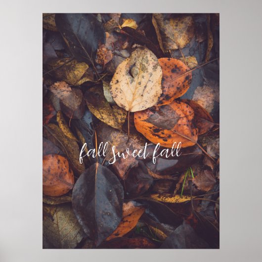 Herfst Poster (Voorkant)