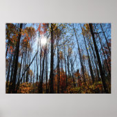Herfst poster (Voorkant)