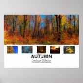 herfst | Poster collectie landschap (Voorkant)