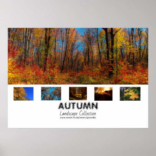 herfst | Poster collectie landschap (Voorkant)