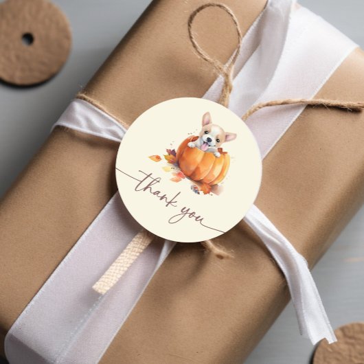 Herfst Pumpkin Dank u Baby shower Ronde Sticker