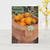 Herfst Pumpkin Kaart (Gele Bloem)