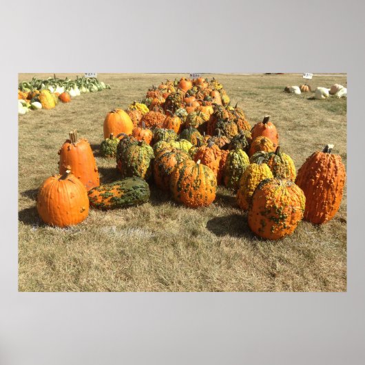 Herfst Pumpkin Sale Poster (Voorkant)