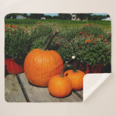 Herfst Pumpkins and Mums op een Sherpa Deken (Voorkant (horizontaal))