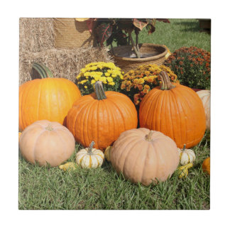 Herfst Pumpkins and Mums Photo Tegeltje