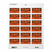 Herfst Pumpkins Etiket (Full Sheet)