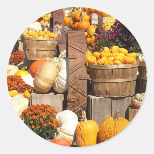 Herfst Pumpkins Glossy Stickers (Voorkant)