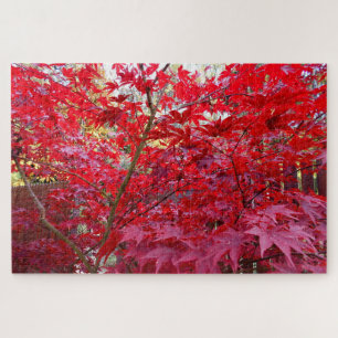 Herfst Red Maple Tree Legpuzzel