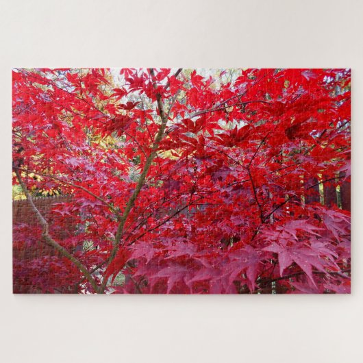 Herfst Red Maple Tree Legpuzzel (Horizontaal)