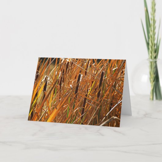 Herfst Reeds Nummer 6 Kaart (Voorkant)