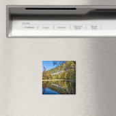 Herfst reflecteert op de nationale buffelrivier magneet (Insitu (Vaatwasser))