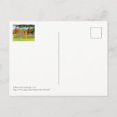 HERFST REFLECTIES IN HET MEER BIJ TOLEDO BOTANICAL BRIEFKAART (Achterkant)
