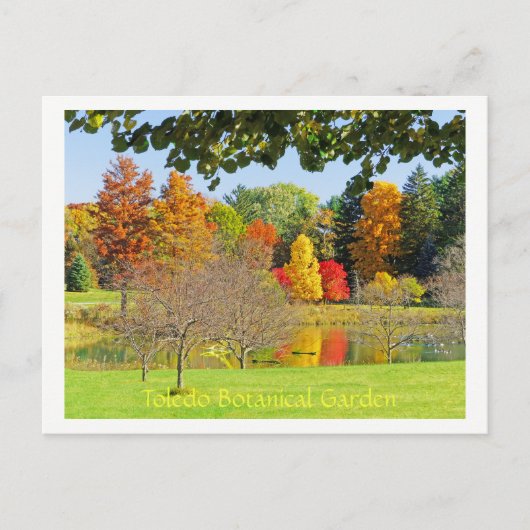 HERFST REFLECTIES IN HET MEER BIJ TOLEDO BOTANICAL BRIEFKAART (Voorkant)