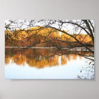 Herfst Reflecties Poster