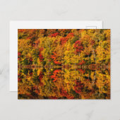 Herfst Reflection op Russell Pond | New Hampshire Briefkaart (Voorkant / Achterkant)