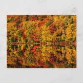 Herfst Reflection op Russell Pond | New Hampshire Briefkaart (Voorkant)