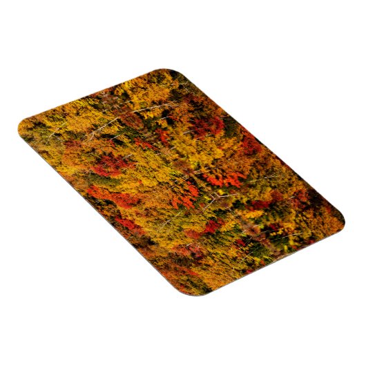 Herfst Reflection op Russell Pond | New Hampshire Magneet (Rechterzijde)