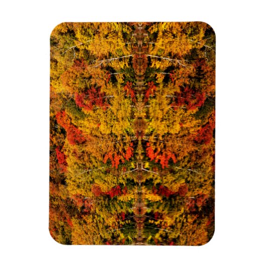 Herfst Reflection op Russell Pond | New Hampshire Magneet (Verticaal)