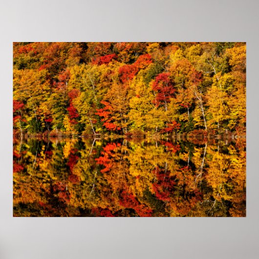 Herfst Reflection op Russell Pond | New Hampshire Poster (Voorkant)
