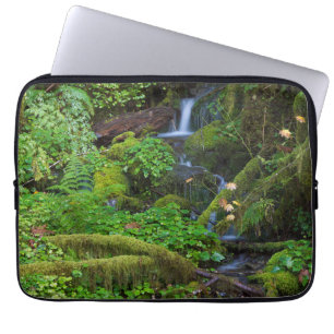 Herfst regenwoud Olympic National Park Laptop Sleeve