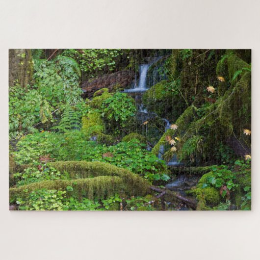Herfst regenwoud | Olympic National Park Legpuzzel (Horizontaal)