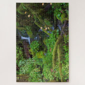 Herfst regenwoud | Olympic National Park Legpuzzel (Verticaal)