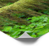 Herfst regenwoud | Olympic National Park Poster (Hoek)