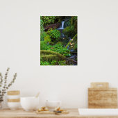 Herfst regenwoud | Olympic National Park Poster (Keuken)