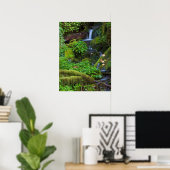 Herfst regenwoud | Olympic National Park Poster (Thuiskantoor)