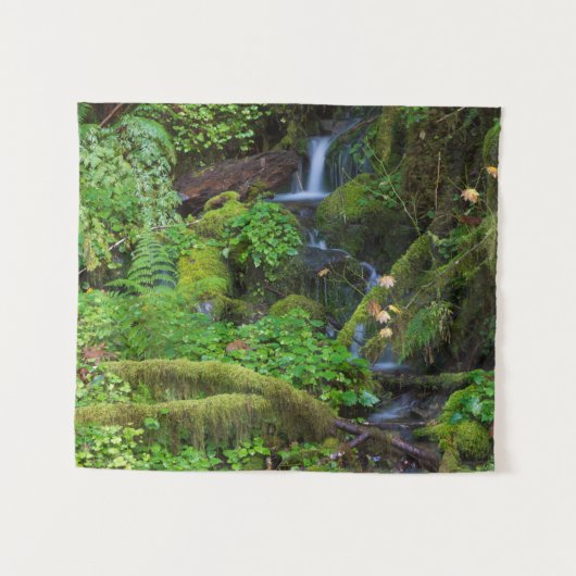 Herfst regenwoud | Olympic National Park Wandkleed (Voorkant (horizontaal))