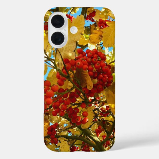 Herfst Rode bessen sinaasappel Kroon Foto - Case-Mate iPhone Case (Achterkant)