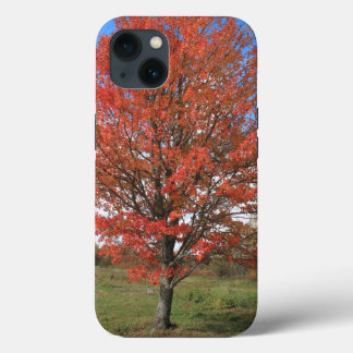 Herfst rode esdoorn in de blauwe lucht Case-Mate iPhone case