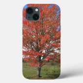 Herfst rode maple boom in de blauwe lucht Case-Mate iPhone case (Achterkant)