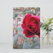 Herfst rode roos briefpapier (Staand voorkant)