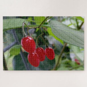 Herfst rode stippen legpuzzel