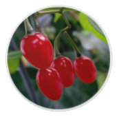 Herfst rode vlekken keramische knop (Voorkant)