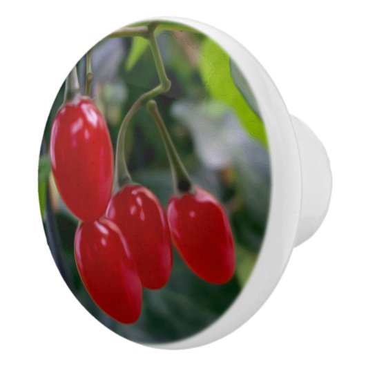 Herfst rode vlekken keramische knop (Rechts)