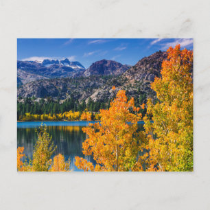 Herfst rond June Lake, Californië Briefkaart