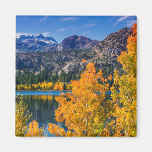 Herfst rond June Lake, Californië Magneet