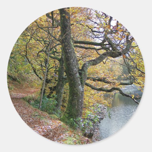 HERFST RONDE STICKER (Voorkant)