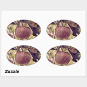 Herfst rood appelfruit en laat waterverf achter ovale sticker (Vel)
