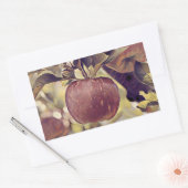 Herfst rood appelfruit en laat waterverf achter rechthoekige sticker (Envelop)