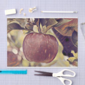 Herfst rood appelfruit en laat waterverf achter tissuepapier (Craft)