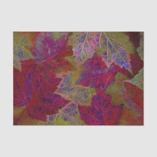 Herfst Rood Geel Neon Esdorenbladeren Tissuepapier (Voorkant)