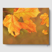 Herfst | Rouwdienst Ter Herinnering Gastenboek (Achterkant)