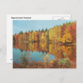  Herfst Scene Briefkaart (Voorkant / Achterkant)