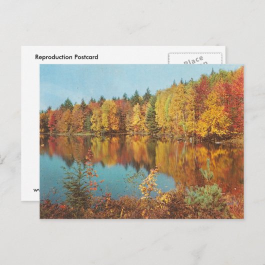  Herfst Scene Briefkaart (Voorkant / Achterkant)