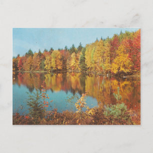 Herfst Scene Briefkaart