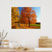 Herfst scène in Vermont Poster (Keuken)